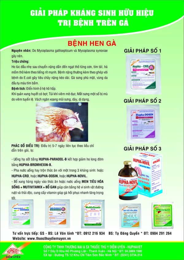 Giải pháp kháng sinh hữu hiệu trị bệnh Hen gà